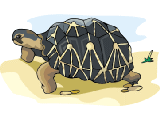 Clipart06